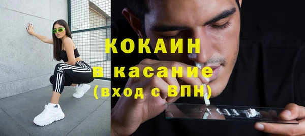 спиды Пересвет