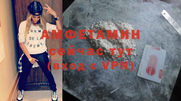 спиды Пересвет