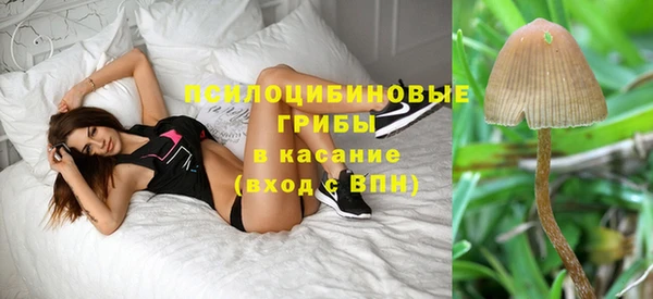 бошки Валдай
