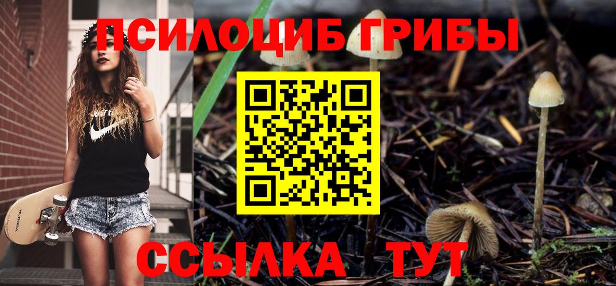 Псилоцибиновые грибы мицелий  купить наркоту  Усолье-Сибирское  Вход с VPN  Псилоцибиновые грибы прущие грибы 