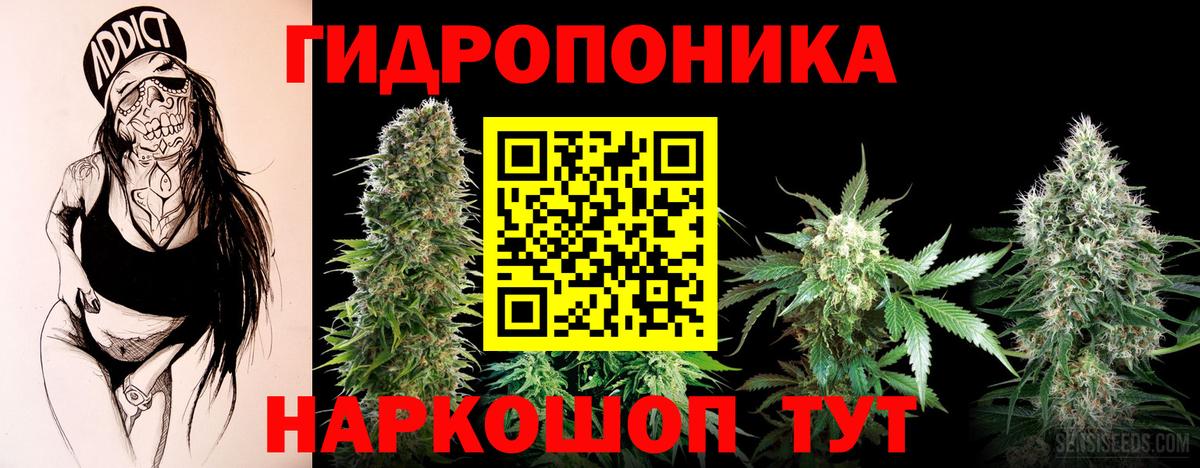 Марихуана White Widow Усолье-Сибирское